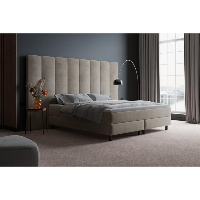 Echtes Boxspringbett Femi mit Premium Visco Topper, mit Samtstoff bezogen - Schnelle Lieferung Canora Grey Farbe: Hellbeige, Matratzenhärte: H3 - ca. on Productcaster.