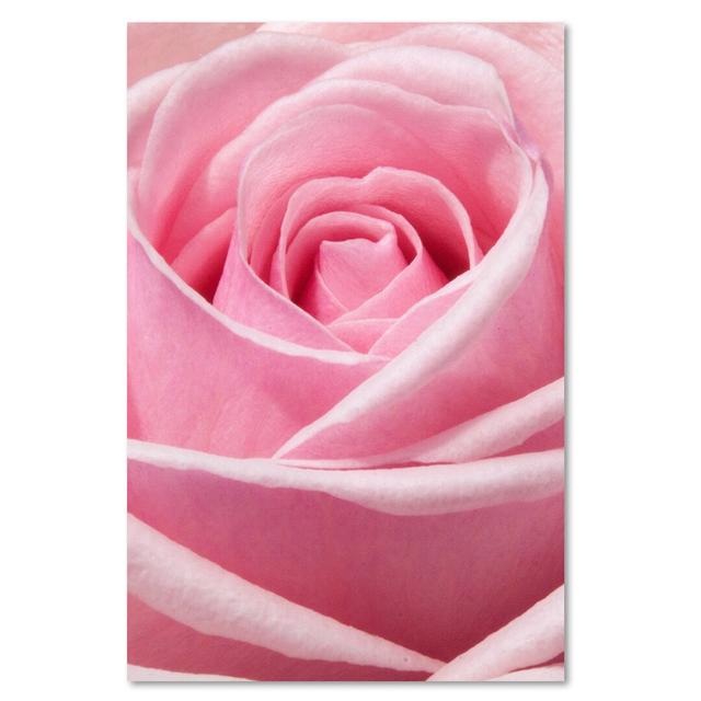 Canvas Print, Image, Rose Flower 16425 Ebern Designs Size: 120cm H x 80cm W on Productcaster.