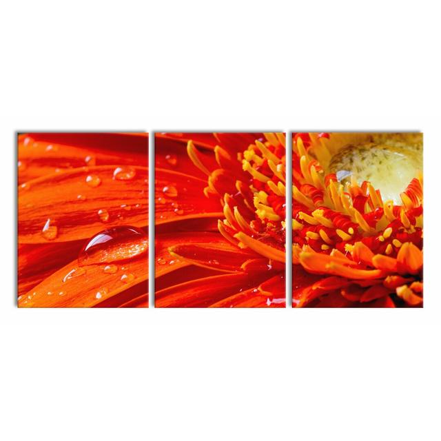 Gerbera with Water Drops 3-Piece Photograph Set on Canvas East Urban Home Size: 80cm H x 180cm W on Productcaster.