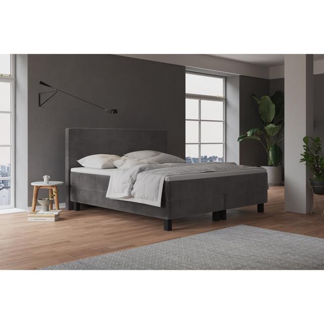 Echtes Boxspringbett Harward mit Taschenfederkernmatratze, mit Samtstoff bezogen Fairmont Park Farbe: Grau/Braun/Blau, Topper: Kein Topper, Größe: 200 on Productcaster.