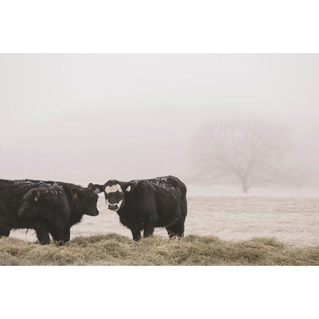 Farm Study I by Adam Mead - Wrapped Canvas Art Prints August Grove Size: 61cm H x 91cm W on Productcaster.