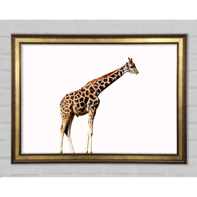 Giraffe Neck - Print Ebern Designs Size: 42.1cm H x 59.7cm W on Productcaster.