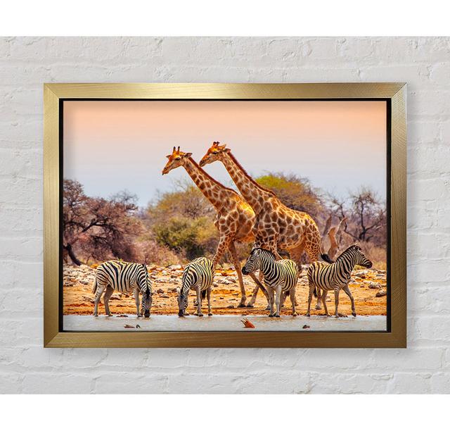 Safari Watering Hole - Single Picture Frame Art Prints Bright Star Size: 42cm H x 59.7cm W x 3.4cm D on Productcaster.