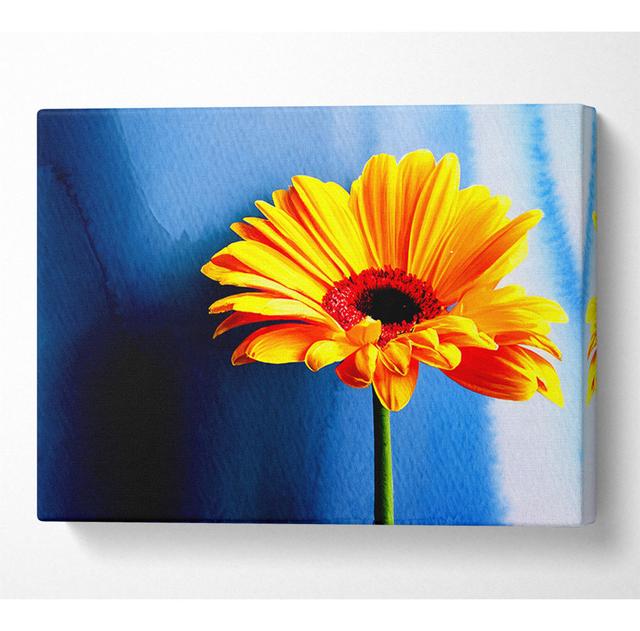 Single Orange Gerbera - Print Latitude Run Size: 81cm H x 121.9cm W x 10cm D on Productcaster.