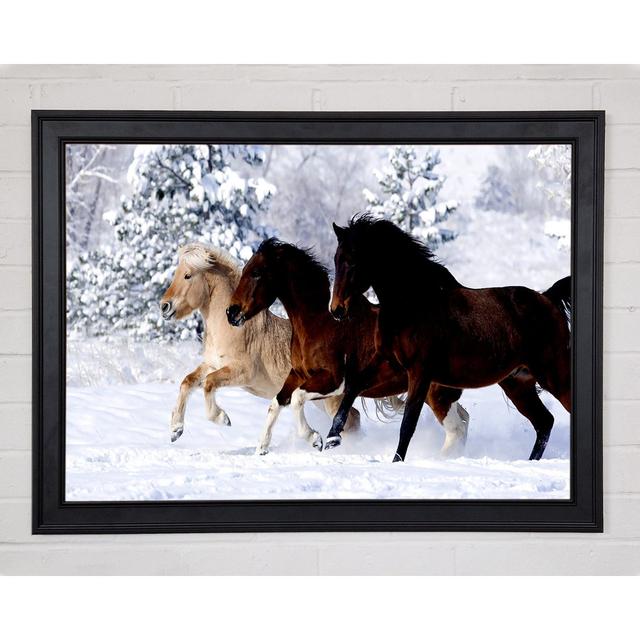 Wild Winter Horses Running - Single Picture Frame Art Prints Gracie Oaks Size: 29.7cm H x 42cm W x 1.5cm D on Productcaster.