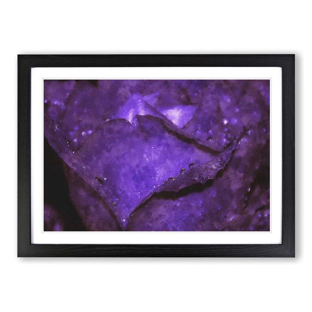 Purple Rose Flower Vol.4 - Picture Frame Painting East Urban Home Frame Option: Black Framed, Size: 36cm H x 48cm W x 2cm D on Productcaster.