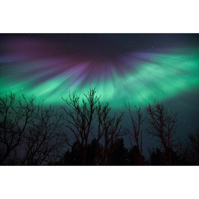 Christabel Northern Lights by KristofferVaikla - Wrapped Canvas Print Alpen Home Size: 61cm H x 91cm W x 3.8cm D on Productcaster.