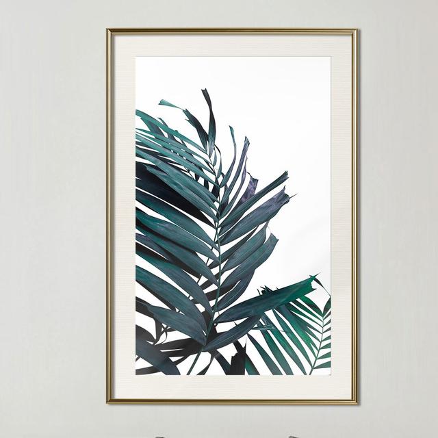 Gerahmtes Poster Evergreen Palm Leaves Sansibar Home Rahmenauswahl: Mattgoldener Rahmen, Größe: 45 cm H x 30 cm B x 1,5 cm T on Productcaster.