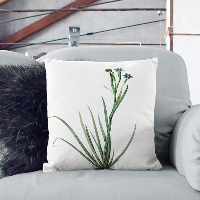 Bermudiana Flowers by Pierre-Joseph Redoute Cushion with Filling East Urban Home Size: 40 x 40 cm, Backing Colour: Black on Productcaster.