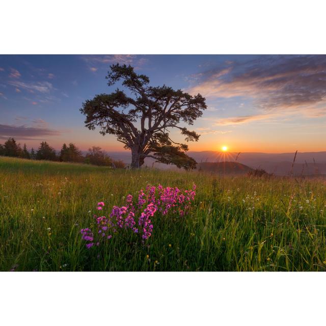 Rudchester Beautiful Mountain Landscape - Wrapped Canvas Photograph Latitude Run Size: 81cm H x 122cm W x 3.8cm D on Productcaster.