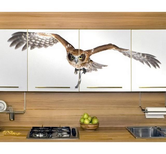 Owl Nocturnal Hunter Wall Sticker East Urban Home Size: 54cm H x 144cm W on Productcaster.