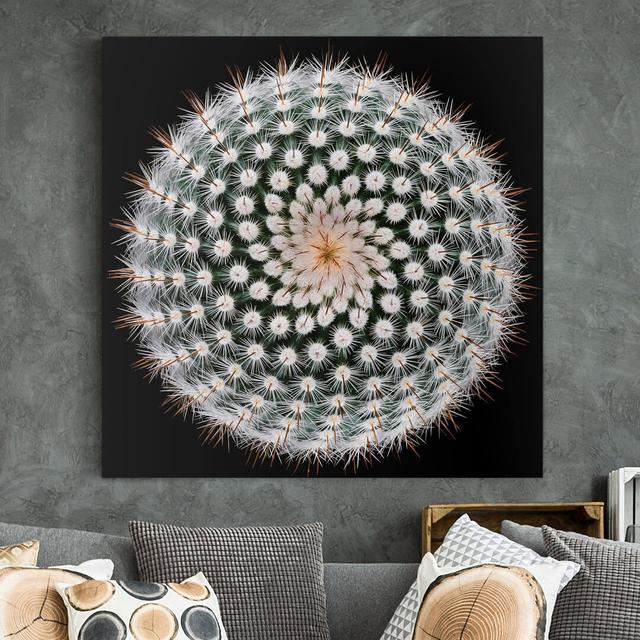 Cactus flower - Wrapped Canvas Graphic Art Bloomsbury Market Format: 260g/m² canvas, Colour: White, Size: 60cm H x 60cm W on Productcaster.