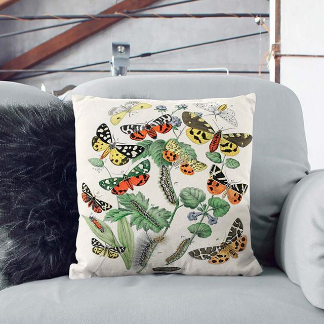 Caterpillars, Butterflies & Moths by W.F. Kirby Cushion with Filling East Urban Home Size: 40cm H x 40cm W x 15cm D, Backing Colour: White on Productcaster.