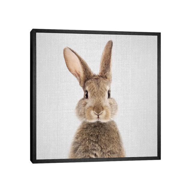 Rabbit by Gal Design - Floater Frame Print on Canvas August Grove Size: 45.72cm H x 45.72cm W x 3.81cm D, Frame Option: Black Framed on Productcaster.