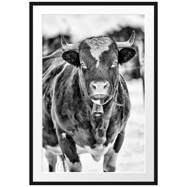 Gerahmtes Poster „Cow Bull in a Snowy“ East Urban Home Größe: 100 cm H x 70 cm B on Productcaster.