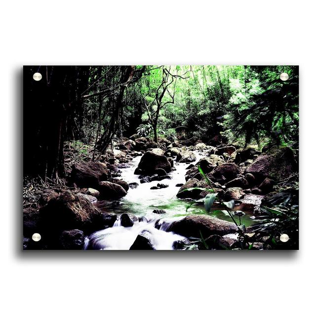 Hidden Woodland Stream - Unframed Photograph Print on Paper East Urban Home Size: 29.7cm H x 42cm W on Productcaster.