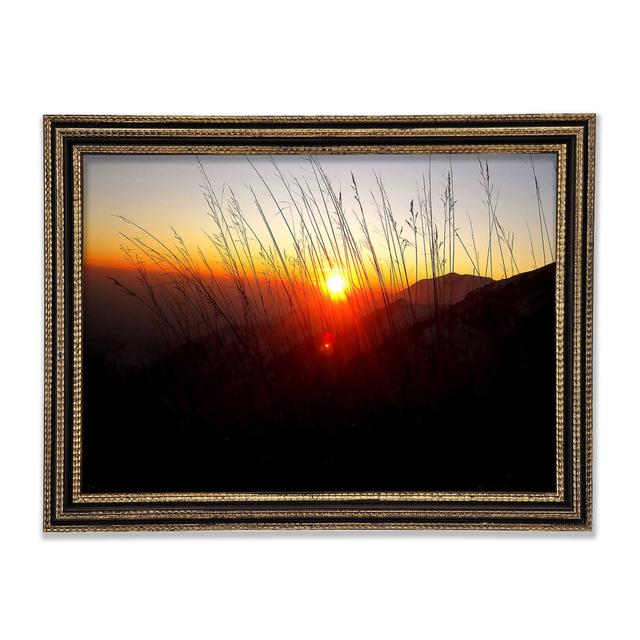 Dusk Through The Reeds - Print Ebern Designs Size: 42cm H x 59.7cm W x 3cm D on Productcaster.