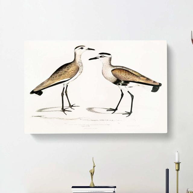 Two Sandpiper Birds by John Edward Gray - Wrapped Canvas Painting East Urban Home Size: 50cm H x 76cm W x 3cm D on Productcaster.