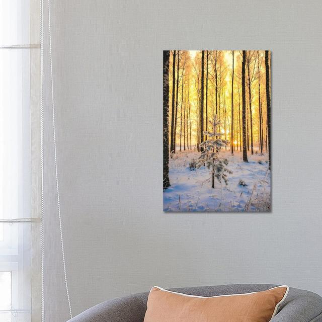 Lonely Pine by Lauri Lohi - Wrapped Canvas Photograph Alpen Home Size: 66.04cm H x 45.72cm W x 1.91cm D on Productcaster.