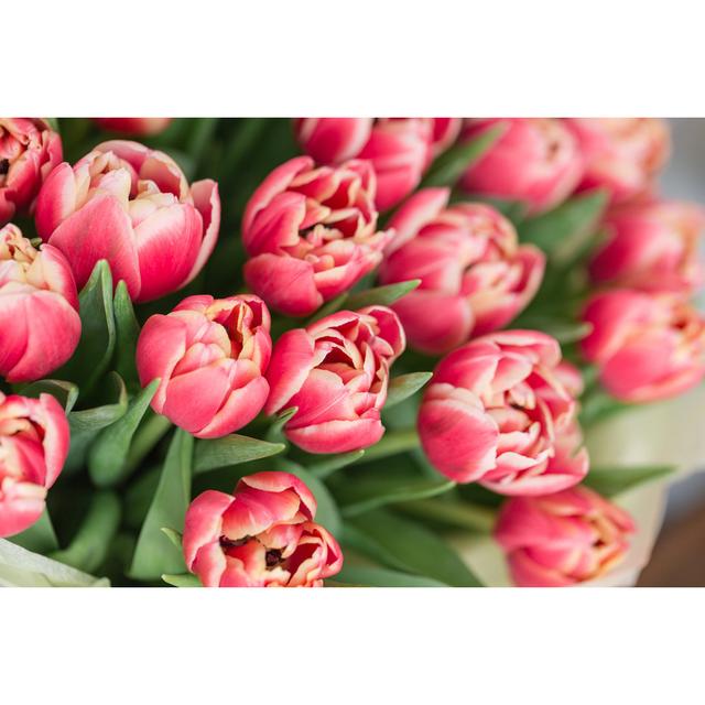 Davlos Pink Tulips Flowers - Wrapped Canvas Print Latitude Run Size: 20cm H x 30cm W x 3.8cm D on Productcaster.