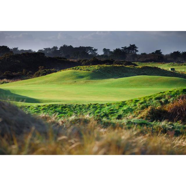 Golf Course Morning by Drxy - Wrapped Canvas Photograph Alpen Home Size: 51cm H x 76cm W on Productcaster.