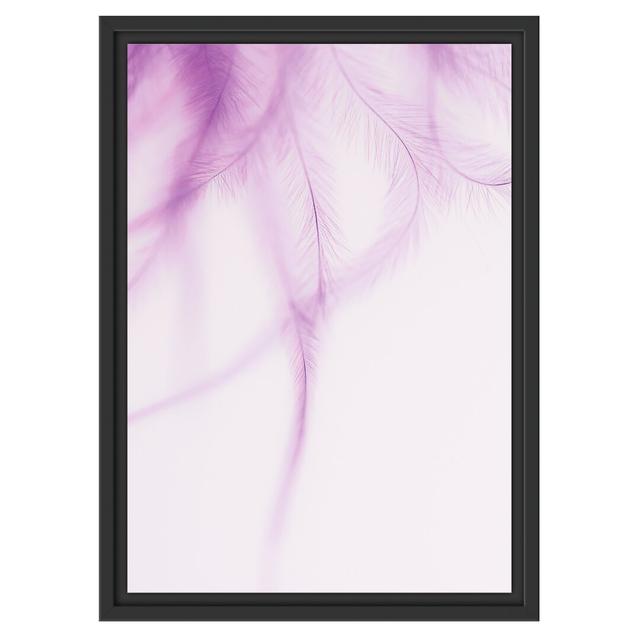 Gerahmtes Wandbild zarte pinke Federn East Urban Home Größe: 55 cm H x 40 cm B on Productcaster.