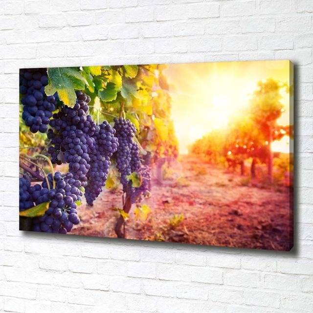 Vines - Wrapped Canvas Art Prints Ophelia & Co. on Productcaster.