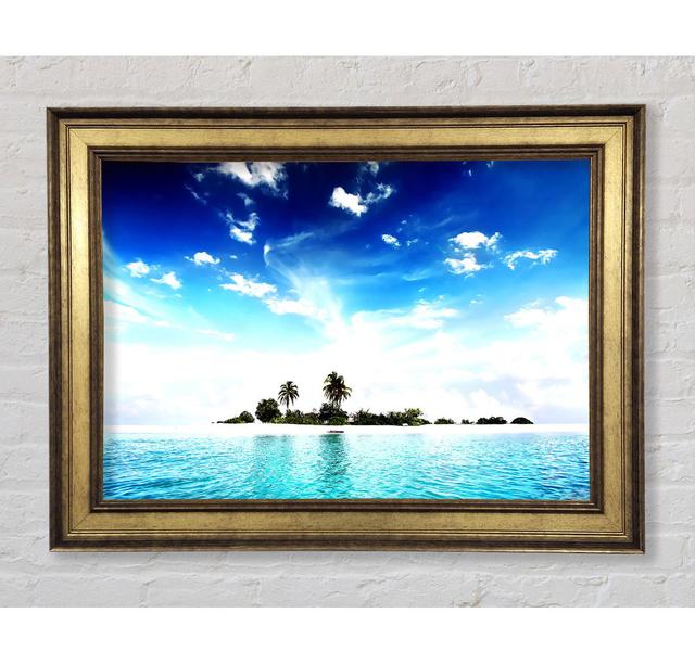 Cool Island - Single Picture Frame Art Prints Bright Star Size: 59.7cm H x 84.1cm W x 8cm D on Productcaster.