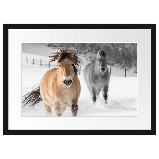 Gerahmtes Poster Zwei schöne Ponys im Schnee East Urban Home Größe: 40 cm H x 55 cm B on Productcaster.