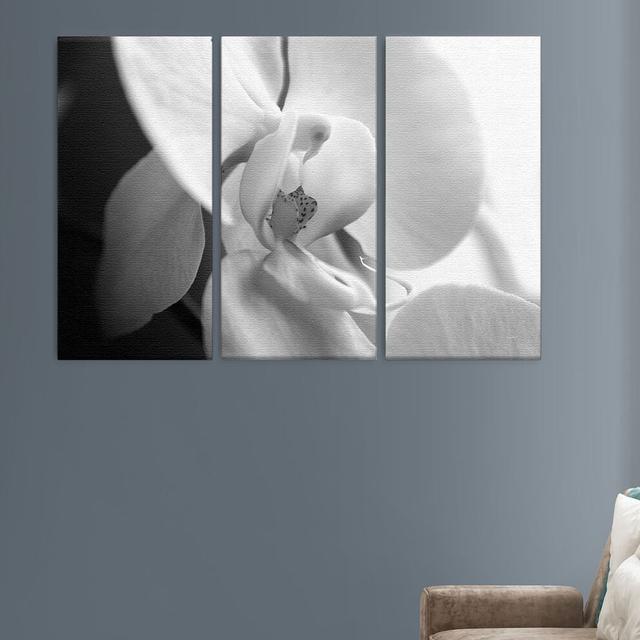 Dream 3 Piece Photographic Print Set on Canvas in Grey East Urban Home Size: 80cm H x 120cm W x 4cm D on Productcaster.