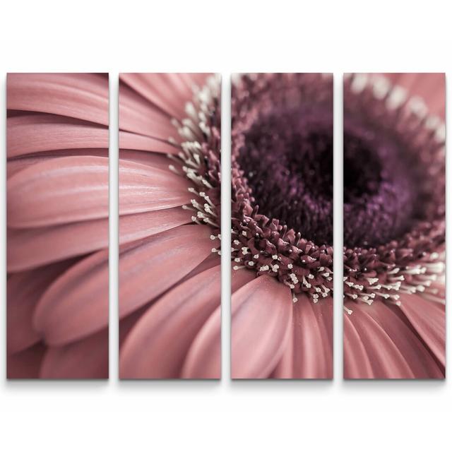 4-tlg. Leinwandbilder-Set Rosa Gerbera East Urban Home on Productcaster.