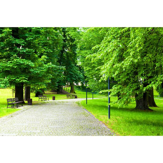 Park In Spring by Majana - Wrapped Canvas Print Ebern Designs Size: 51cm H x 76cm W x 3.8cm D on Productcaster.