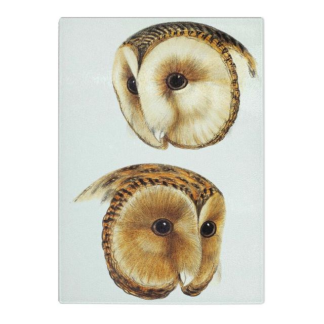 Tempered Glass Two Owls by John Gould Chopping Board East Urban Home Size: 28.5cm W x 39cm L on Productcaster.