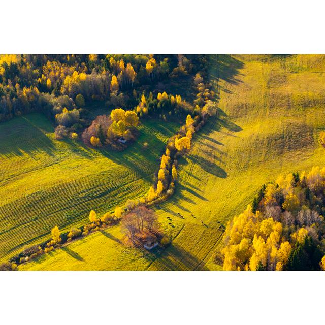 Autumn In Latvia by Proxyminder - Print Alpen Home Size: 61cm H x 91cm W on Productcaster.