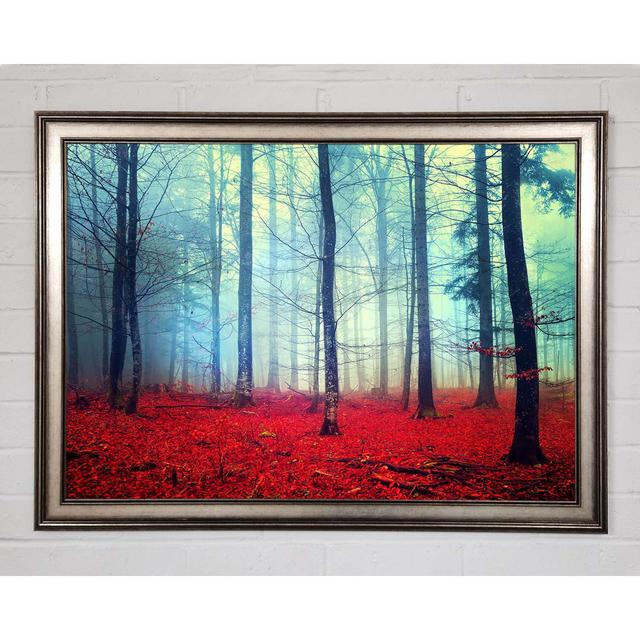 Mist In The Red Forest Framed Print Ophelia & Co. Size: 42cm H x 59.7cm W on Productcaster.