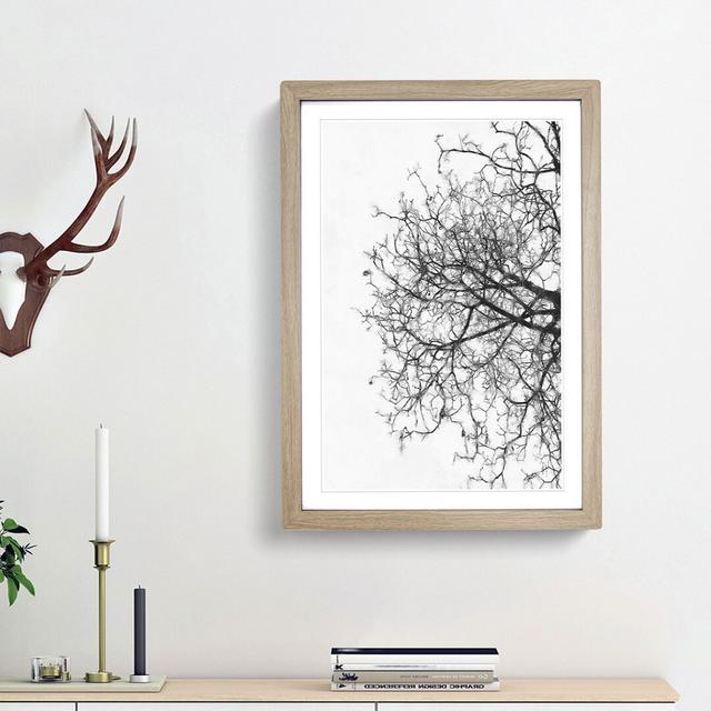 Bare Tree - Picture Frame Graphic Art Print East Urban Home Size: 45cm H x 33cm W x 2cm D, Frame Option: Oak Framed on Productcaster.