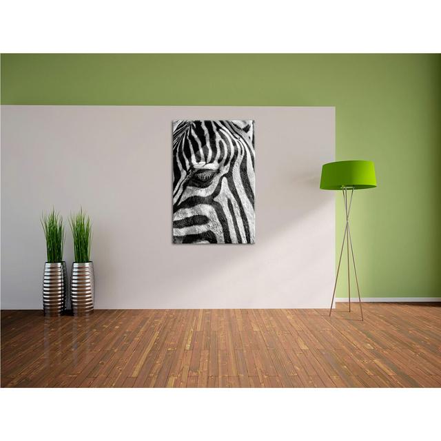 Leinwandbild Zebra Porträt East Urban Home Größe: 60 cm H x 40 cm B on Productcaster.