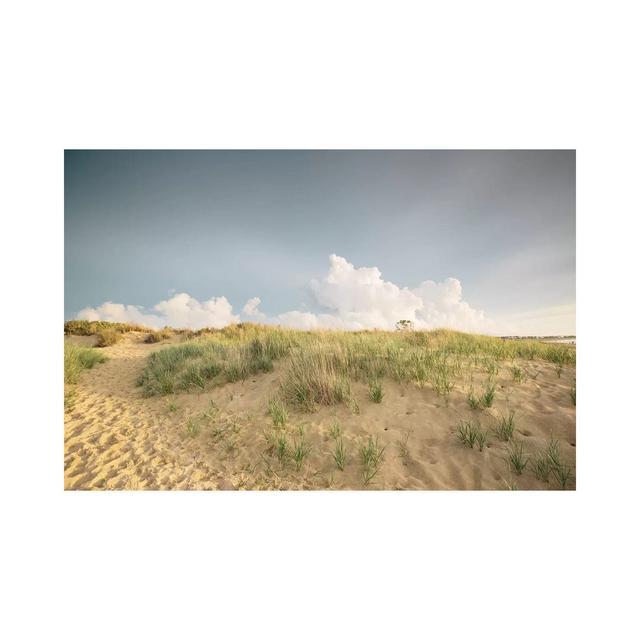 First Landing Dunes V by Adam Mead - Wrapped Canvas Photograph Natur Pur Size: 30.48cm H x 45.72cm W x 1.91cm D on Productcaster.