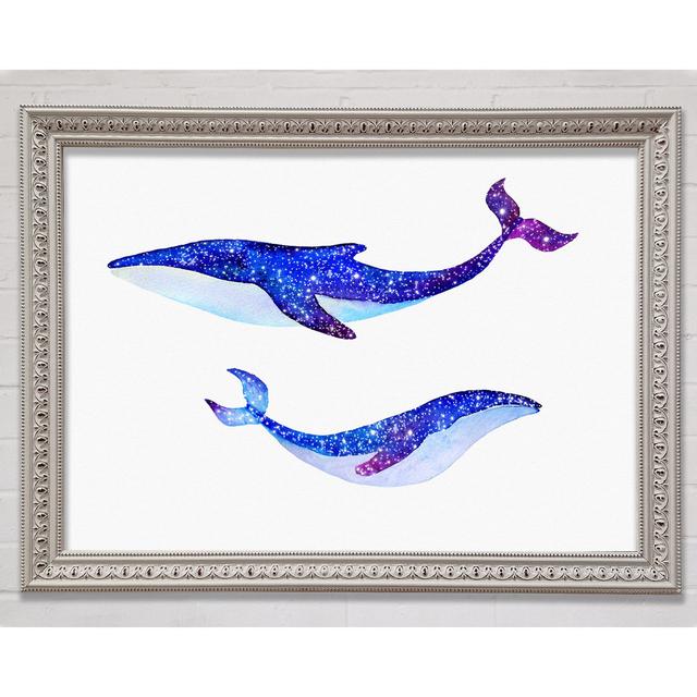 Twinkling Whales - Print Bright Star Size: 42.42cm H x 59.7cm W x 3cm D on Productcaster.