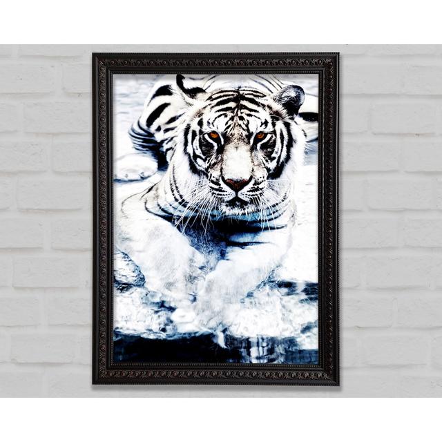 Silver Tiger Stare - Single Picture Frame Art Prints Bright Star Size: 29.7cm H x 21cm W on Productcaster.