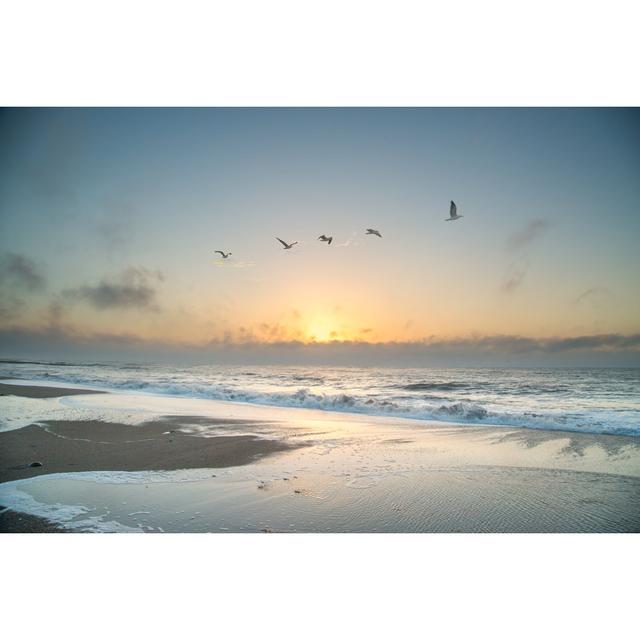 Seagulls at Edisto Island House of Hampton Size: 30cm H x 46cm W x 3.8cm D on Productcaster.