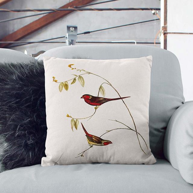 Crimson Finch by Elizabeth Gould Cushion with Filling East Urban Home Size: 40cm H x 40cm W x 15cm D, Backing Colour: Black on Productcaster.