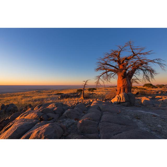 Chantey Golden Morning Light - Wrapped Canvas Photograph 17 Stories Size: 30cm H x 46cm W x 3.8cm D on Productcaster.