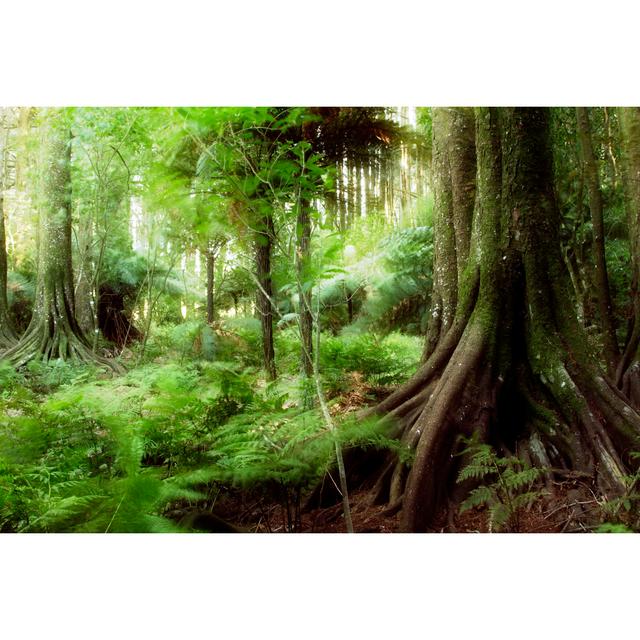 Jungle - Wrapped Canvas Print Union Rustic Size: 81cm H x 122cm W x 3.8cm D on Productcaster.