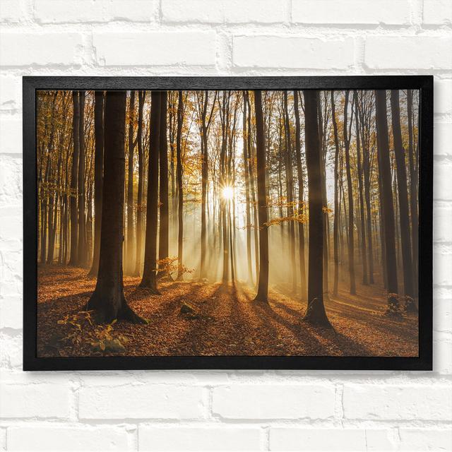 Closed Corner Frame Art Prints on Wood Alpen Home Size: 42cm H x 59.7cm W on Productcaster.