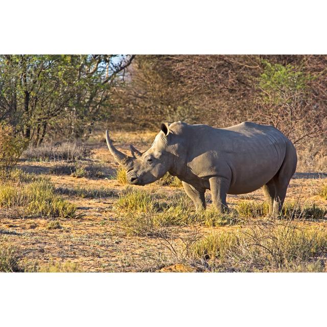 Tailings White Rhinoceros In Botswana - Wrapped Canvas Print Alpen Home Size: 20cm H x 30cm W 3.8cm D on Productcaster.