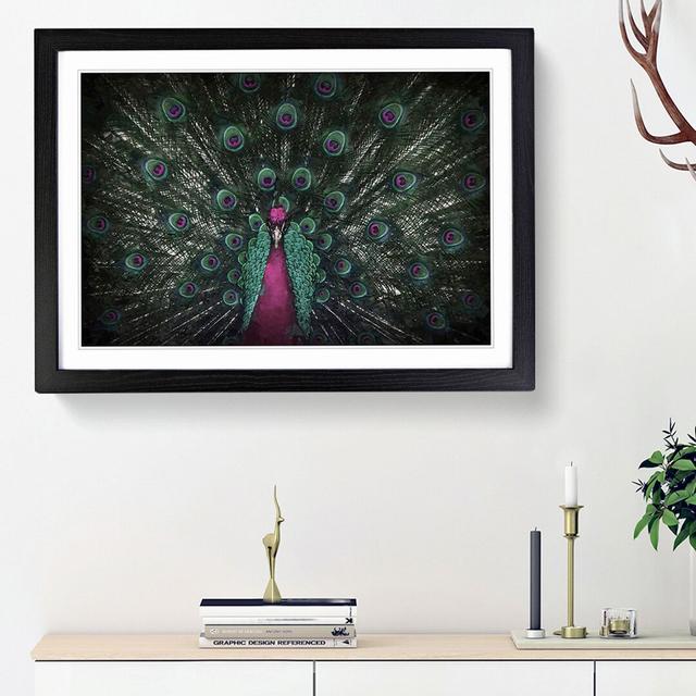 Mesmerising Pink & Green Peacock - Picture Frame Graphic Art Print East Urban Home Frame Option: Black Framed, Size: 36cm H x 48cm W x 2cm D on Productcaster.