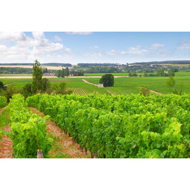 Vineyard Loire Valley France - Wrapped Canvas Photograph Ebern Designs Size: 20cm H x 30cm W on Productcaster.