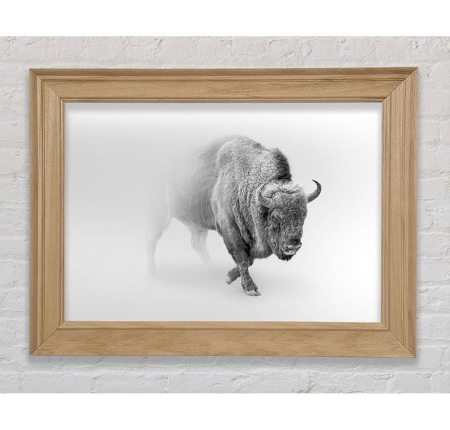 Bison In The Mist - Print Bright Star Size: 29.7cm H x 42cm W x 8cm D on Productcaster.