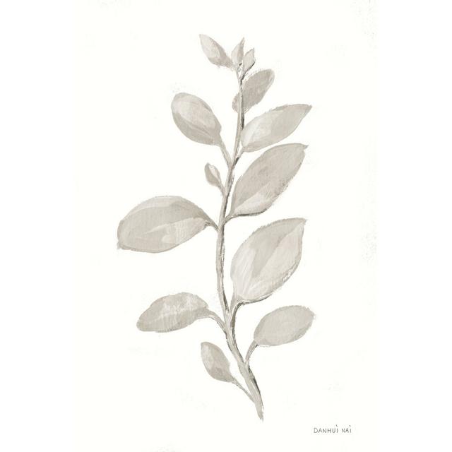 Gray Sage Leaves II On White ClassicLiving Size: 46cm H x 30cm W x 3.8cm D on Productcaster.